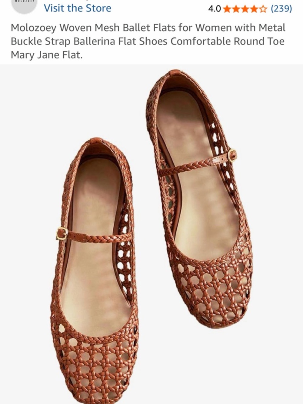 NWOT Molozoey Woven Leather Mary Jane Flats - Brown